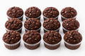 Double Chocolate Muffin Dozen