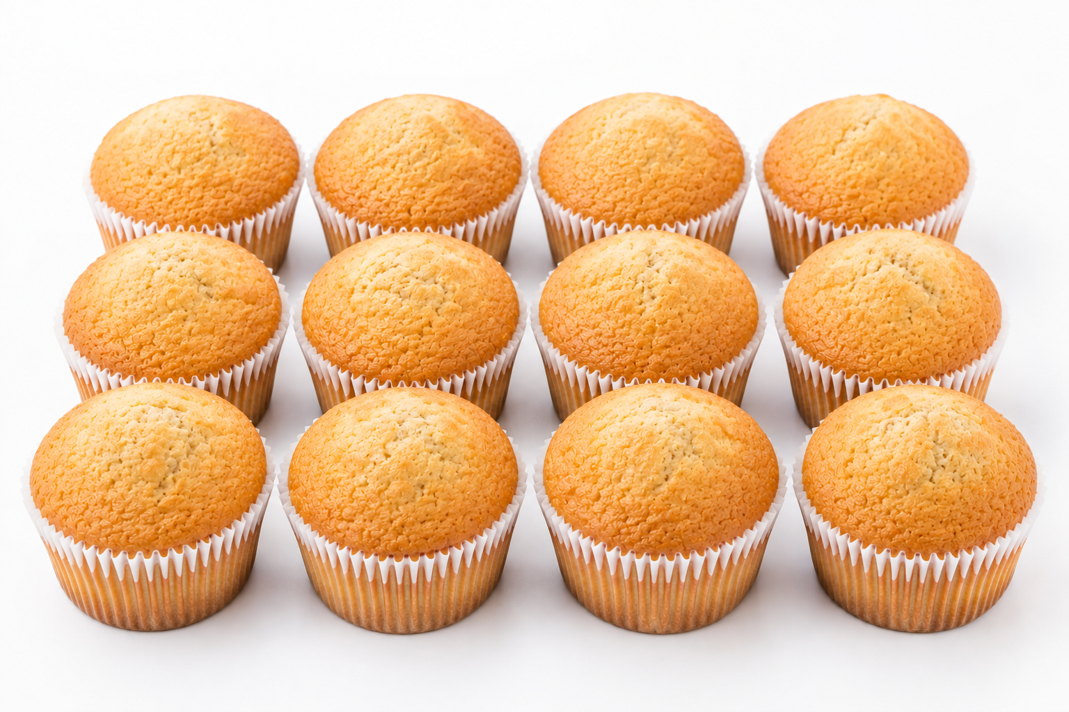 Plain Vanilla Muffin Dozen